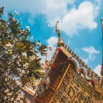 Survival Thai Phrases for Travelers: Essential Words &amp; Easy Pronunciation for Your Thailand Trip