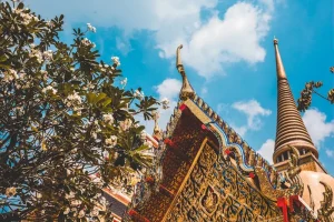Survival Thai Phrases for Travelers: Essential Words &amp; Easy Pronunciation for Your Thailand Trip