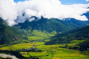 Best Restaurants in Chiang Rai: A Foodie’s Guide to Local Eats