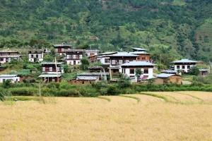 Chiang Rai in 3 Days: Your Perfect Itinerary for Northern Thailand’s Gem