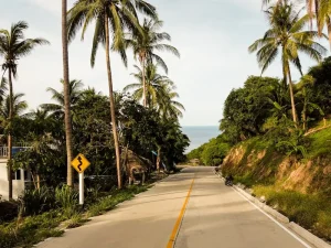Koh Samui Must-Do’s: Your Essential Guide to Thailand’s Island Paradise