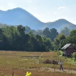 The Perfect Chiang Mai Itinerary: 3, 4, or 5 Days of Temples, Elephants &amp; Culture