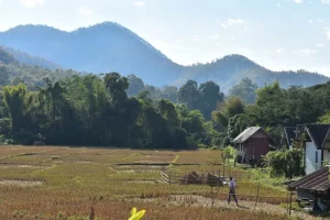 The Perfect Chiang Mai Itinerary: 3, 4, or 5 Days of Temples, Elephants &amp; Culture
