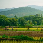 Best Day Trips from Chiang Mai: Your Ultimate Adventure Guide