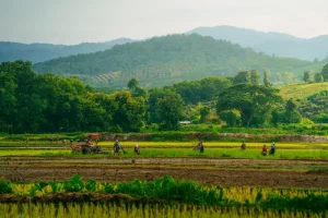 Best Day Trips from Chiang Mai: Your Ultimate Adventure Guide