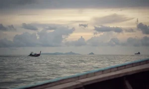 Day Trip to Phi Phi Islands from Krabi: Is it Worth It?