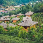 Ethical Elephant Sanctuaries in Chiang Mai: A Responsible Traveler’s Guide