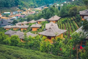 Ethical Elephant Sanctuaries in Chiang Mai: A Responsible Traveler’s Guide