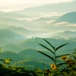 Hua Hin or Koh Chang: Choosing Your Next Thai Beach Getaway