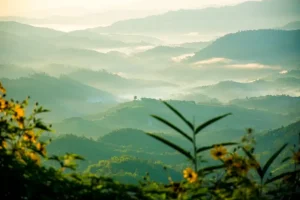 Hua Hin or Koh Chang: Choosing Your Next Thai Beach Getaway