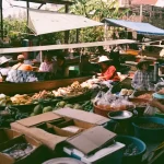 The Ultimate Khao Soi Hunt: Best Bowls and Hidden Gems in Northern Thailand