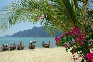 Ao Nang Nightlife: Bars, Restaurants &amp; Entertainment Hotspots