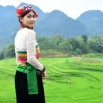 Living as a Digital Nomad in Chiang Mai: A Comprehensive Guide