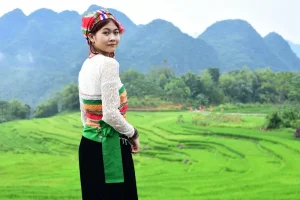 Living as a Digital Nomad in Chiang Mai: A Comprehensive Guide