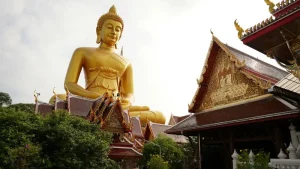 TrueMove H Tourist SIM: Data Packages, Activation &amp; Coverage in Thailand