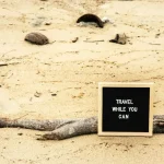 Polite Thai Phrases: How to Be Respectful and Charming in Thailand