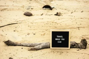 Polite Thai Phrases: How to Be Respectful and Charming in Thailand